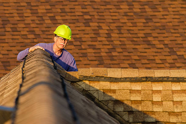 Roof Gutter Cleaning in Ashland City, TN